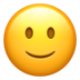 表情